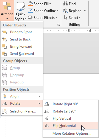 Flip Horizontal option selected