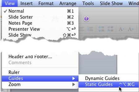 Static Guides option selected