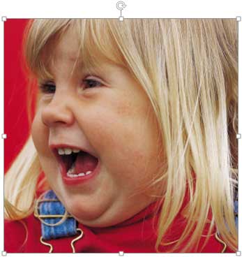 Copy of the shape changed to a rectangle