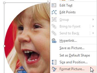 Format Picture option