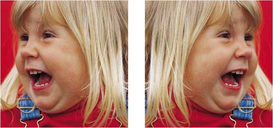 Picture flipping is easy and quick in PowerPoint