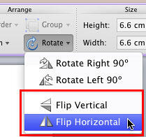 Flip options within Rotate gallery Flip options within Rotate gallery