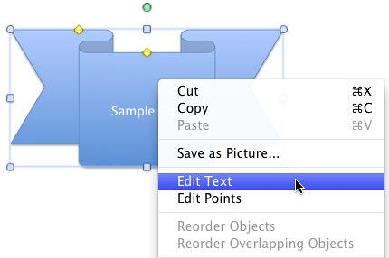 Edit Text option selected
