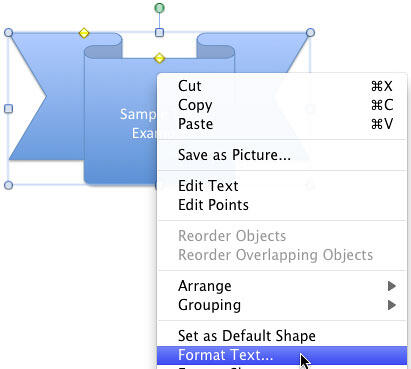 Format Text option selected