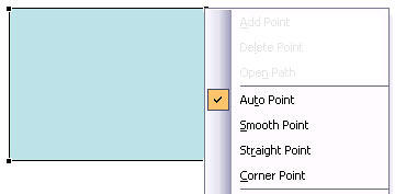  Auto Point option selected