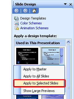 Apply to Selected Slides option
