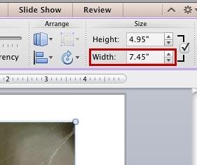 Width and the Height values of the selected picture Width and the Height values of the selected picture