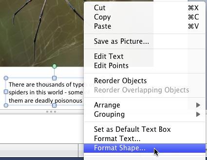 Format Shape option selected Format Shape option selected