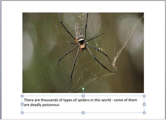 Text box resized and aligned with the picture Text box resized and aligned with the picture