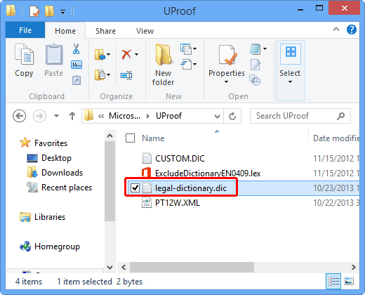 New dictionary file accessed within the windows explorer New dictionary file accessed within the windows explorer