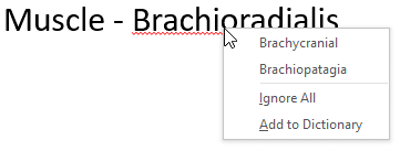 Options within the File menu Options within the File menu