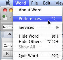 Choose Word | Preferences menu option Choose Word | Preferences menu option