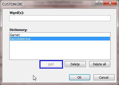 CUSTOM.DIC dialog box