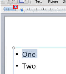 Bulleted paragraph selected on the slide Bulleted paragraph selected on the slide