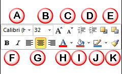 Text formatting options within Mini toolbar