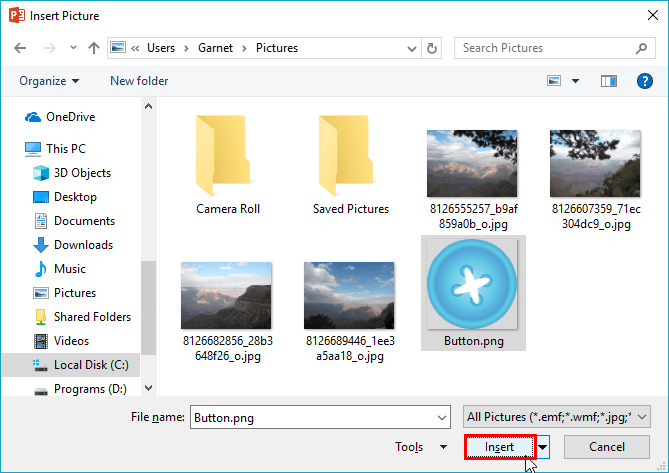 Picture selected within the Insert Picture dialog box Picture selected within the Insert Picture dialog box