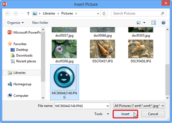 Insert Picture dialog box