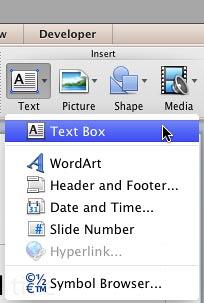 Text Box option selected within the Text drop-down menu