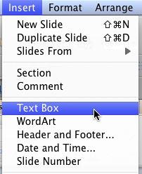Menu option for inserting a Text Box