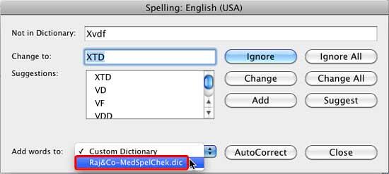 New dictionary within Spelling dialog box New dictionary within Spelling dialog box