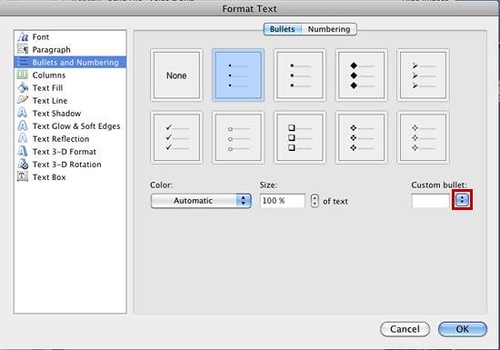 Bullet options within the Format Text dialog box