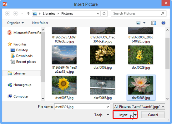 Insert Picture dialog box Insert Picture dialog box