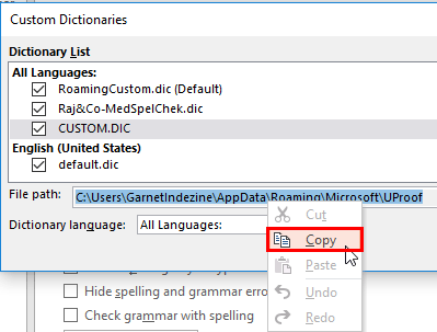 Location of the custom dictionary copied Location of the custom dictionary copied