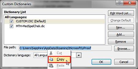 Location of the custom dictionaries copied Location of the custom dictionaries copied