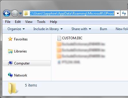 Custom dictionary location accessed Custom dictionary location accessed