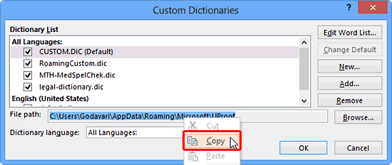 Location of the custom dictionary copied Location of the custom dictionary copied