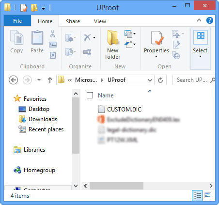 Custom dictionary location accessed Custom dictionary location accessed