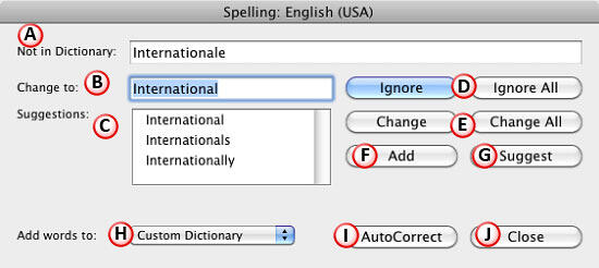 Options within the Spelling dialog box Options within the Spelling dialog box