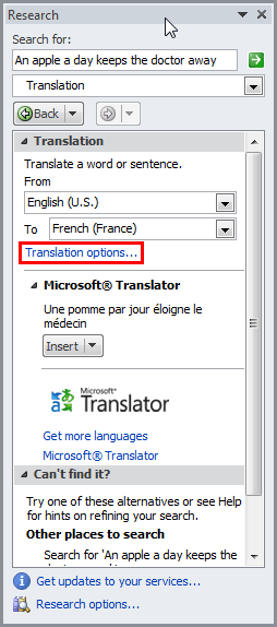 Using an online Translation service Using an online Translation service