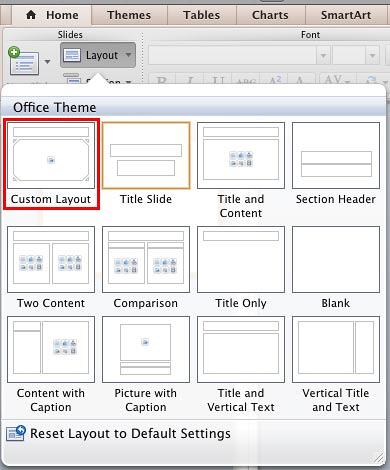 New Slide Layout with the picture placeholder added and edited