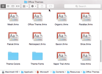 Where are Office Themes and Templates Located?