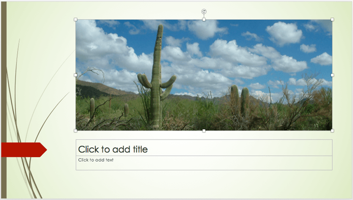 Picture inserted within the Picture placeholder Picture inserted within the Picture placeholder