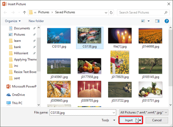 Insert Picture dialog box