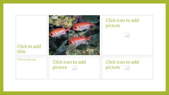 Extra Picture placeholders without pictures