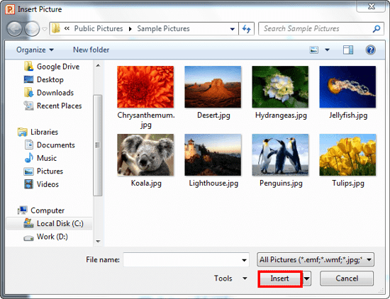Insert Picture dialog box