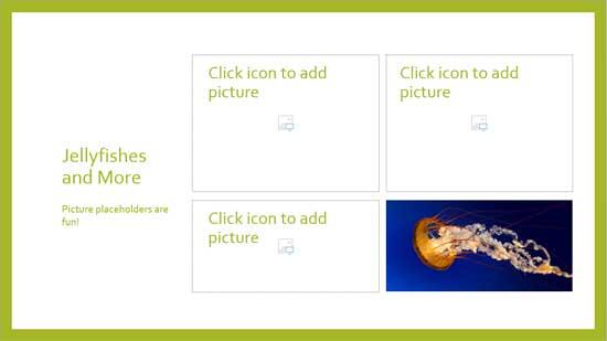 Extra Picture placeholders without pictures