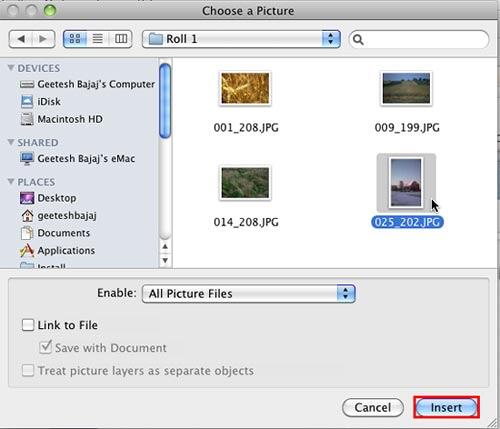 Choose a Picture dialog box