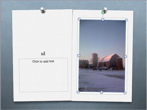 Picture inserted within the Picture placeholder