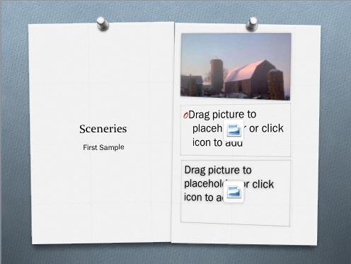 Extra Picture placeholders without pictures