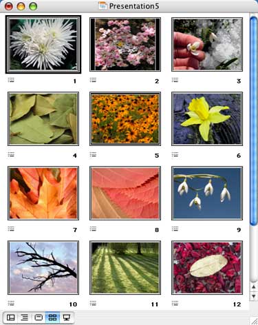 Pictures inserted into separate slides