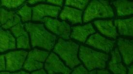 Cracked Mud Title PowerPoint Templates
