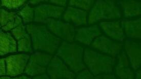 Cracked Mud Normal PowerPoint Templates