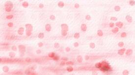 Blotting Paper Title PowerPoint Templates