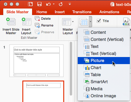 Picture option with Insert Placeholder menu