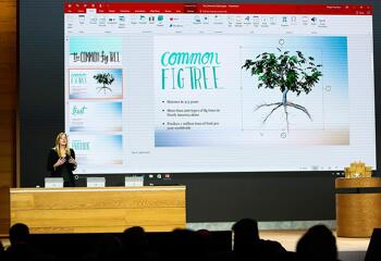PowerPoint and Presenting News: July 11, 2017