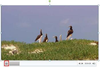 VBA Code: Change Embedded Videos to Linked?